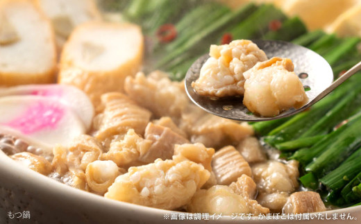 肉ごぼ天うどん 5人前＋もつ鍋 4人前