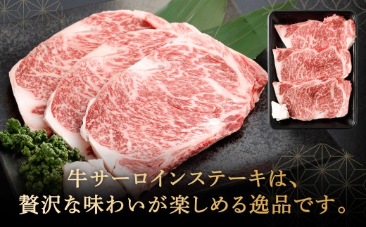 【やまぐち和牛燦】 牛サーロインステーキ 3枚入り 約500g