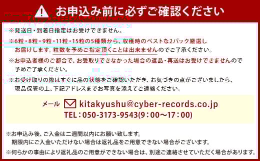 小倉の苺やさん「わがこいちご」260g×2パック 合計520g以上