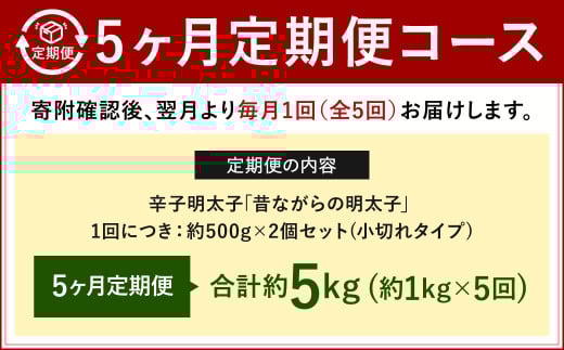 【5ヶ月定期便】 辛子明太子 「昔ながらの明太子」 （小切れタイプ） 約500g×2個セット 計5kg 切れ子 明太子 めんたいこ