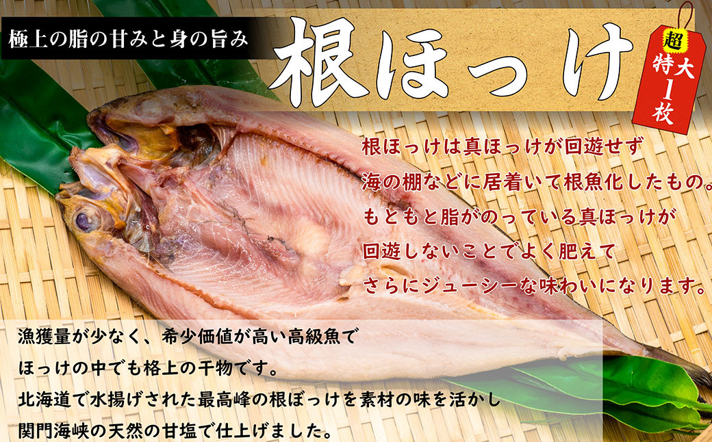 関門海峡海水仕込み！ こだわり 干物 もりあわせ 6種 計12枚 計 約2.5kg