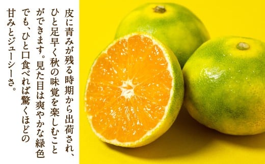 福岡県産 早味かん 約4kg以上 （40玉～50玉入り） M・Sサイズ