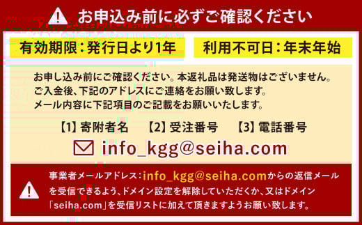 1日英語漬けであそぼう体験チケット（子ども1名様）