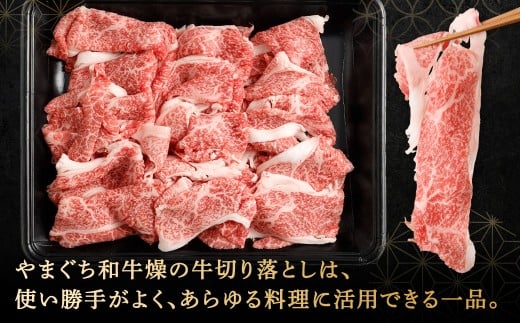 【やまぐち和牛燦】 牛切り落とし 約500g
