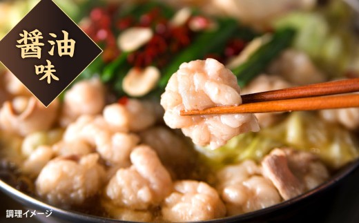 【4カ月定期便】 人気の博多もつ鍋 3人前 醤油味・味噌味を交互にお届け！ もつ鍋 モツ鍋 もつ モツ 牛もつ 鍋 醤油 味噌 冷凍 福岡県 北九州市