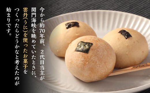 菓匠せのおの和菓子セット 合計10個