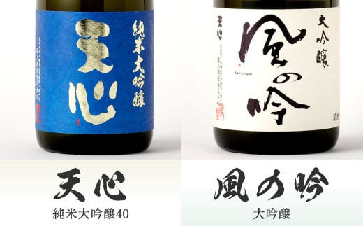 溝上酒造 日本酒 セット (3)（720ml×6本）
