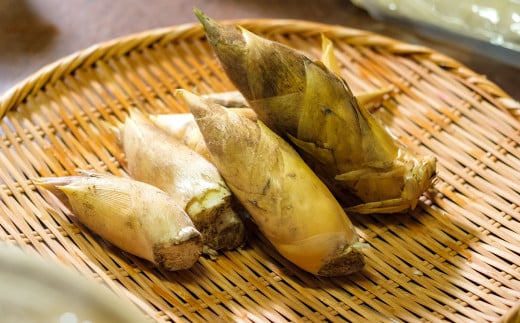 合馬たけのこご飯セット