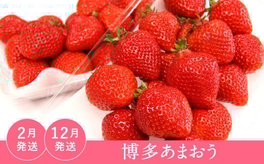 【福岡県産 特産品 年6回定期便】うまもぐ厳選 野菜果物セット
