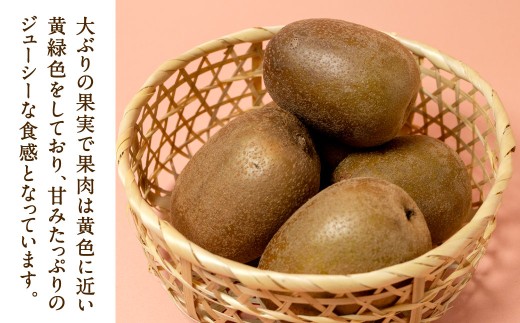 福岡県産 博多甘うぃ 約3.6kg（20玉～27玉入り）