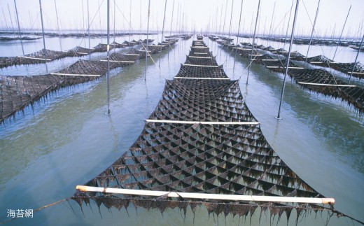 海王 一番摘み焼海苔 5枚入×7袋 計35枚