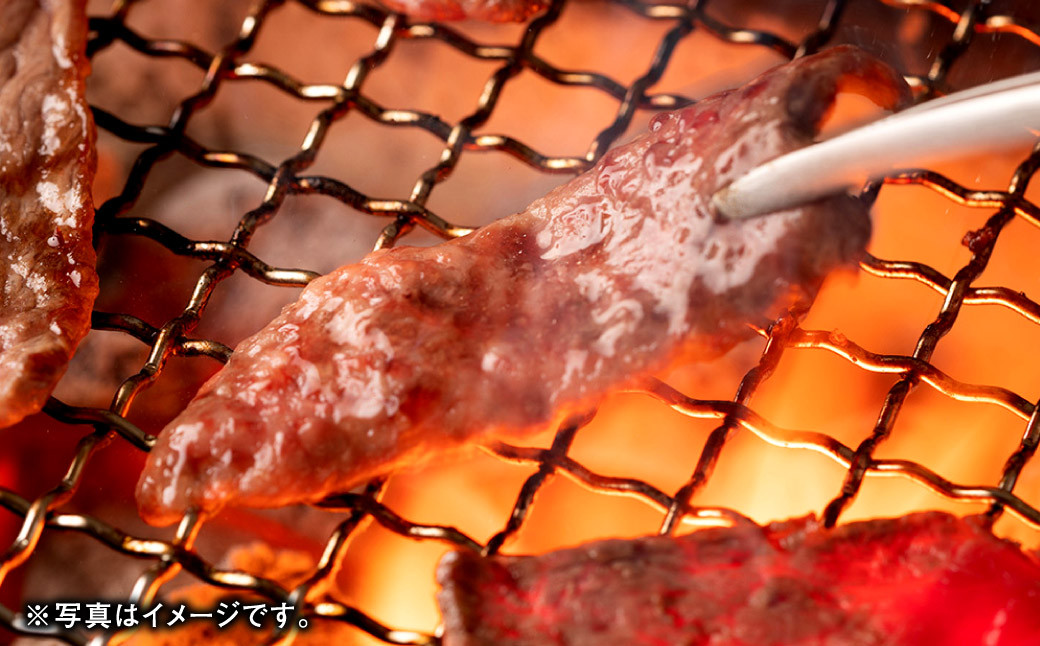 焼肉のタレ 3本セット（甘口・辛口・激辛） 250g×3本 計750g