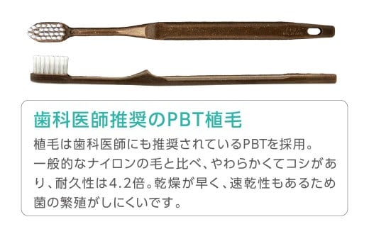 竹バイオマスハブラシと歯磨き粉のセット 50袋 歯ブラシ 歯磨き粉 歯磨き はみがき マウスケア 健康 竹製歯ブラシ 国産 九州 福岡県 北九州市