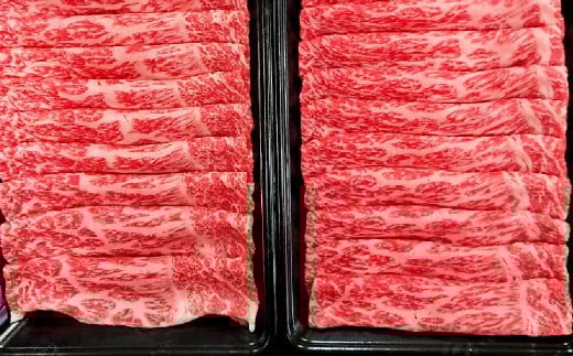 【緊急支援品】 A4～A5 限定 九州産 黒毛和牛 赤身 スライス （もも・うで） 合計1.2kg 【数量限定】【2026年5月発送】