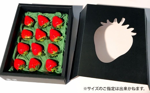 天姫 （あまひめ） イチゴ 【贈答用】（3L～4Lサイズ）12粒入り 1箱