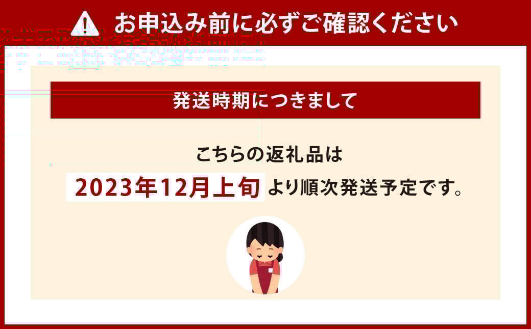 【2023年12月上旬より順次発送】福岡県 北九州市産 冬のお野菜セット 8～10品程度