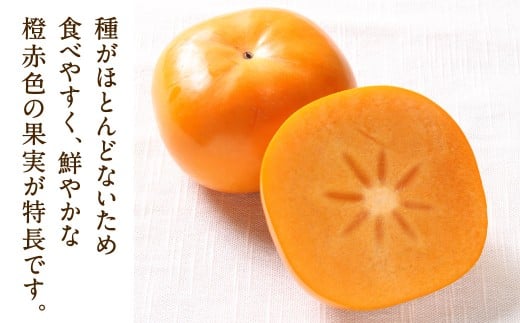 福岡県産 博多秋王【優等品】 約1.75kg以上（6玉入り）