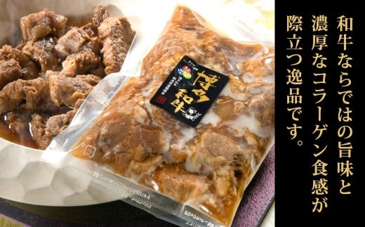 博多和牛の牛すじ煮込み 250g×2袋 計500g 牛すじ煮込み 牛スジ煮込み 牛すじ 牛スジ 牛肉 牛 博多和牛 冷凍 福岡県 北九州市