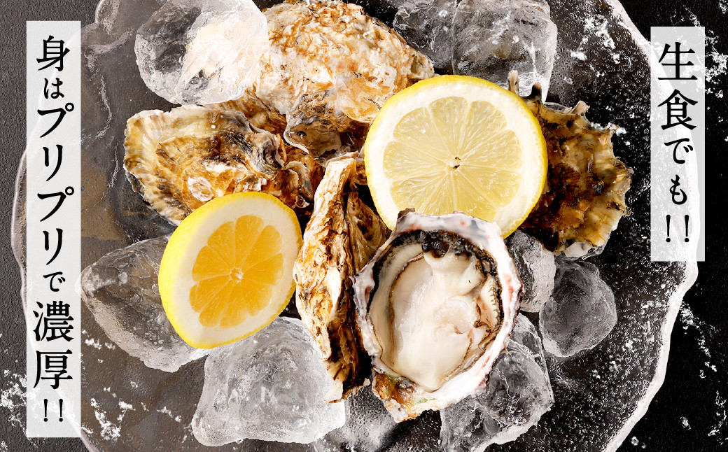 北九州産 豊前海一粒かき 2kg 牡蠣 生牡蠣 かき