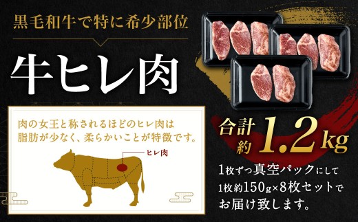 九州産 黒毛和牛 ヒレステーキ 約1200g（約150g×8枚）牛肉 肉 お肉 ヒレ ヒレ肉 ステーキ ヒレカツ 希少部位 脂肪少ない 柔らかい 冷凍 福岡県 北九州市