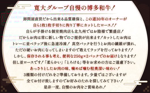 博多和牛 並ロース 約500g（約250g×2パック）