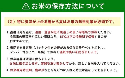 【6ヶ月定期便】【令和4年産】 夢つくし 10kg×6ヶ月 精米 お米 米