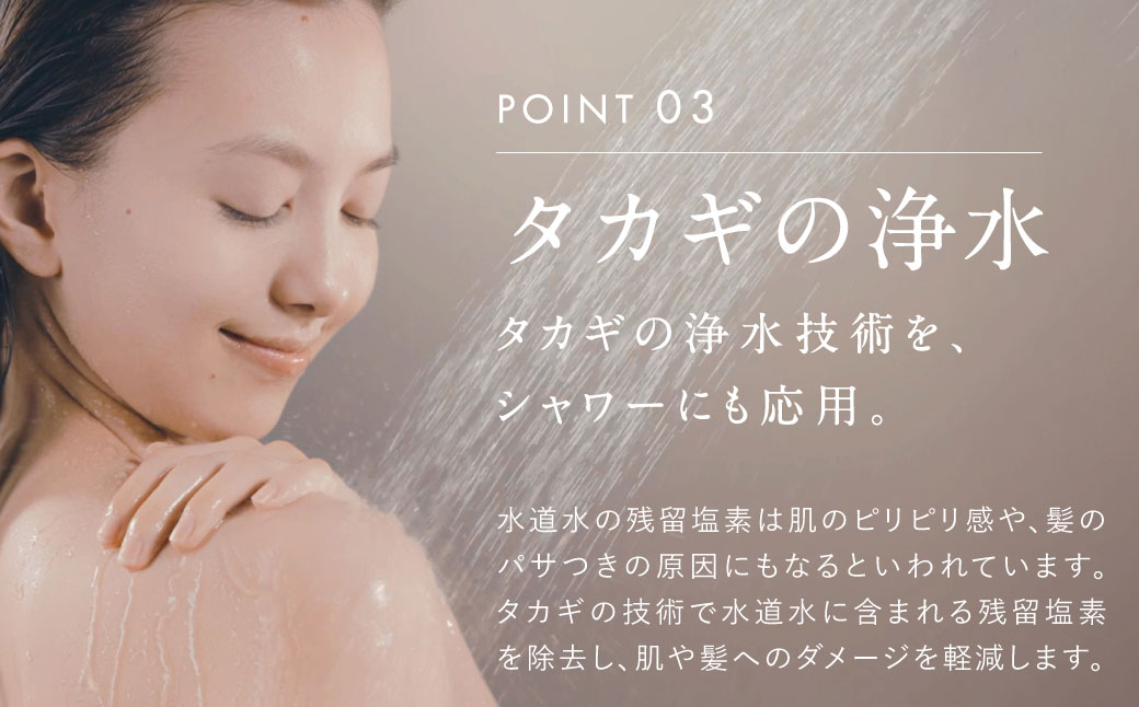 takagi キレイストシャワーミスト メタリック 418g×1個