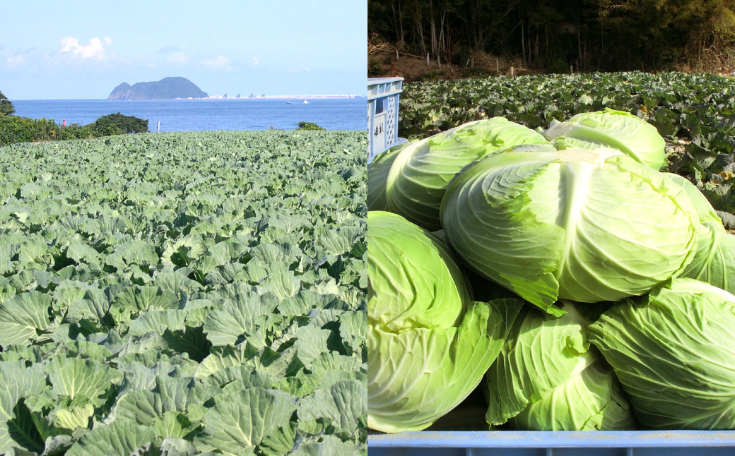 到津の森公園の動物たちに地元農産物を寄贈