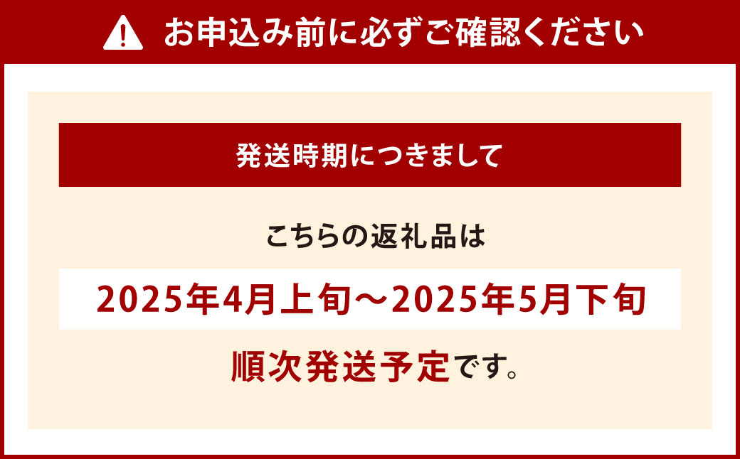 【期間限定】 若松水切りトマト 1.2kg 程度（16～30玉）【2025年4月上旬～5月下旬発送予定】糖度9度基準 野菜 生野菜 新鮮 国産 とまと トマト