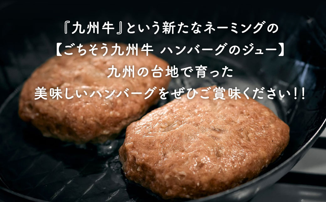 ごちそう九州牛 ハンバーグのジュー 10個入り