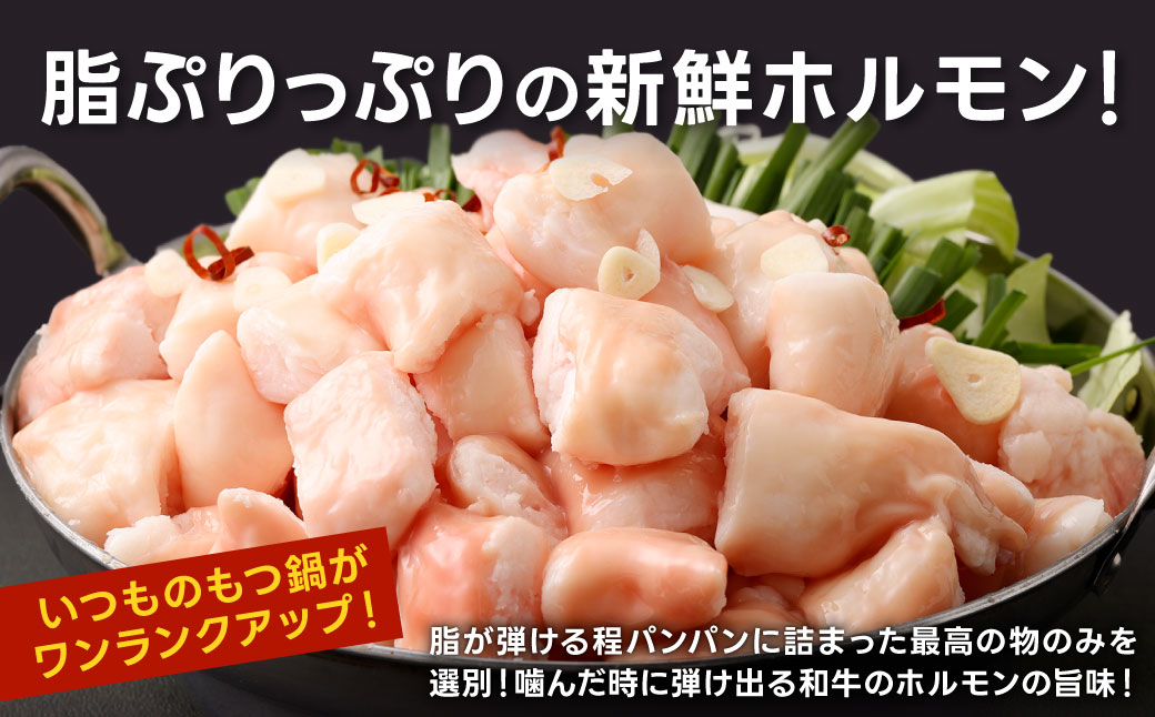 極太 ホルモン 1本 もつ鍋 太腸編 1kg入り 新鮮 ホルモン モツ もつ 牛モツ 牛もつ ぷりぷり 黒毛和牛 丸腸 真空パック もつ鍋 鍋 セット スープ 旨味 あっさり うどん麺 ちゃんぽん麺 国産 九州産 冷凍