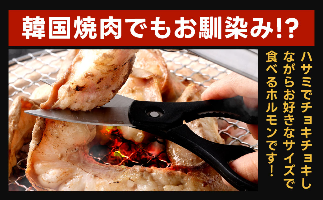 1本焼き 激厚 ホルモン 厚腸版 新鮮 ホルモン 塩ホルモン モツ もつ 牛モツ 牛もつ ぷりぷり 旨味 黒毛和牛 小腸 腸壁 真空パック 国産 九州産 冷凍