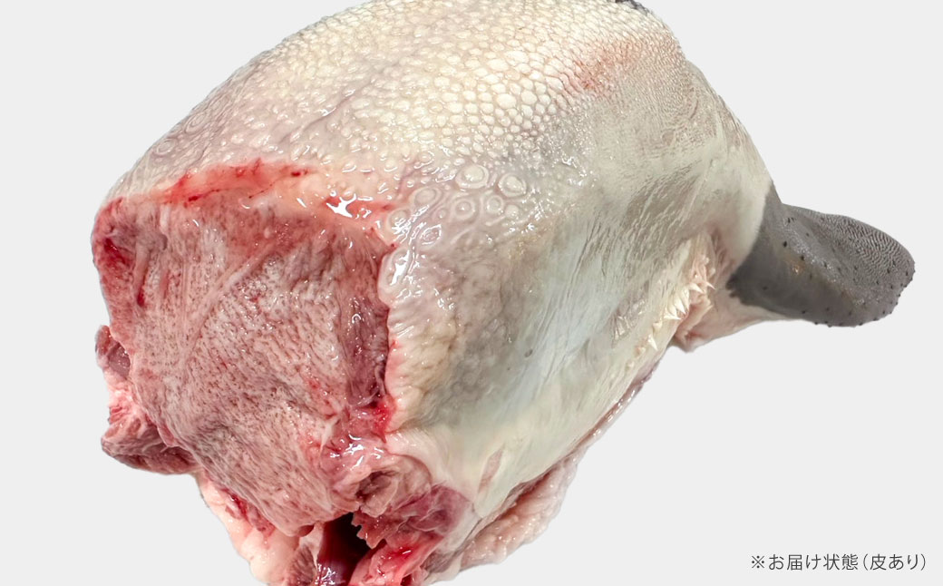 幻の牛タン これが和牛の牛タンです 【2026年6月上旬-下旬発送予定】 黒毛和牛 和牛 牛タン 肉 お肉 高級 サシ 焼肉 BBQ 希少 新鮮 国産 九州産 冷蔵