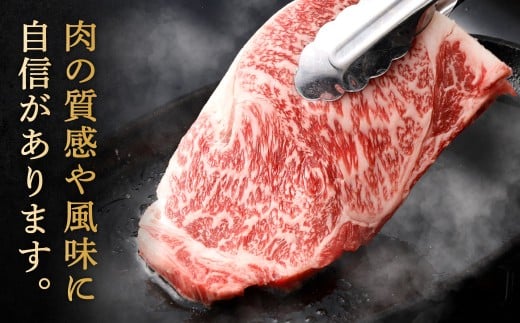 【やまぐち和牛燦】 牛サーロインステーキ 3枚入り 約500g