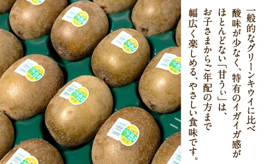 福岡県産 博多甘うぃ 約3.6kg（20玉～27玉入り）