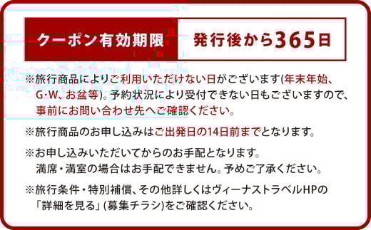 ヴィーナストラベル 旅行商品クーポン券 30000円