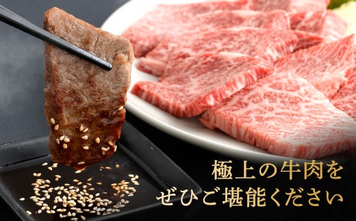 【やまぐち和牛燦】 牛カルビ焼肉 約500g