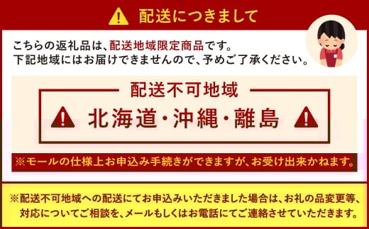 博多和牛の牛すじ煮込み 250g×4袋 計1kg 牛すじ煮込み 牛スジ煮込み 牛すじ 牛スジ 牛肉 牛 博多和牛 冷凍 福岡県 北九州市