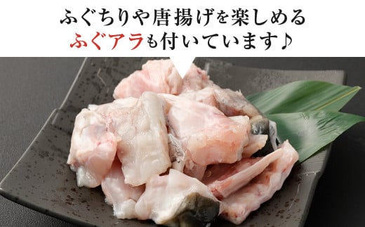 【指定日必須】とらふぐ刺身セット（3人前）