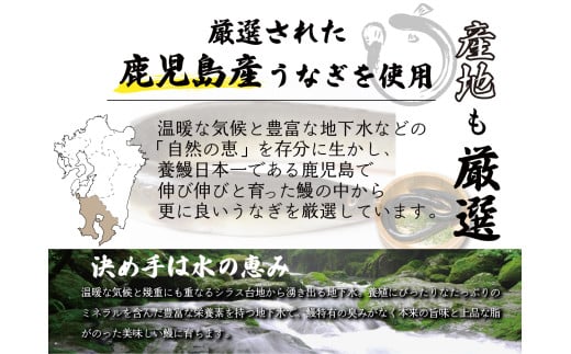 【120年老舗醤油蔵仕込みのたれと関門の塩】高級鰻 蒲焼 （165g前後）×5尾