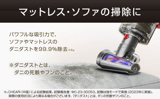 Dyson V12 Detect Slim Fluffy