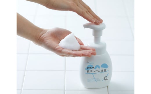 純せっけん洗顔 泡ボトル 1個、純せっけん洗顔 泡詰め替え 15個