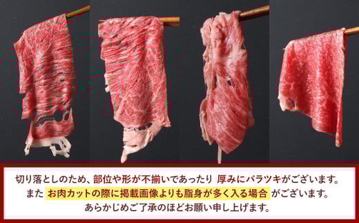 博多和牛 赤身のみ 上質 切り落とし 合計800g 和牛 牛肉 牛 肉 お肉 赤身 赤身肉 国産