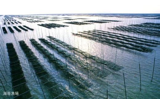 海王 一番摘み焼海苔 5枚入×4袋