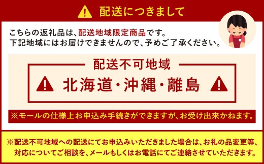 小倉の苺やさん「わがこいちご」260g×2パック 合計520g以上