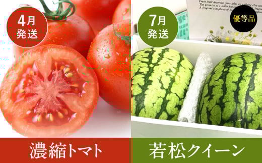 【福岡県産 特産品 年6回定期便】うまもぐ厳選 野菜果物セット