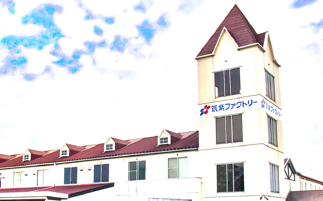 【2023年12月上旬発送開始】九州ハムギフト 6本セット KKF-50 計1,146g ウインナー ハム ベーコン 伊藤ハム