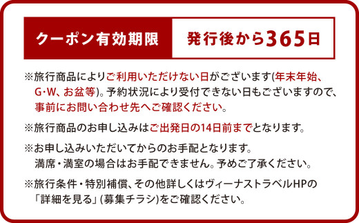 ヴィーナストラベル 旅行商品クーポン券 15000円