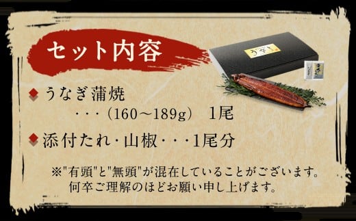 【10営業日発送】 九州産 うなぎ蒲焼 上 1尾 （160～189g） うなぎ蒲焼き うなぎ 鰻 ウナギ 蒲焼 蒲焼き 冷凍 福岡県 北九州市