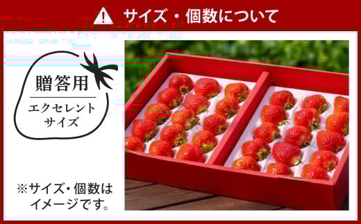 贈答用 あまおう 約400g